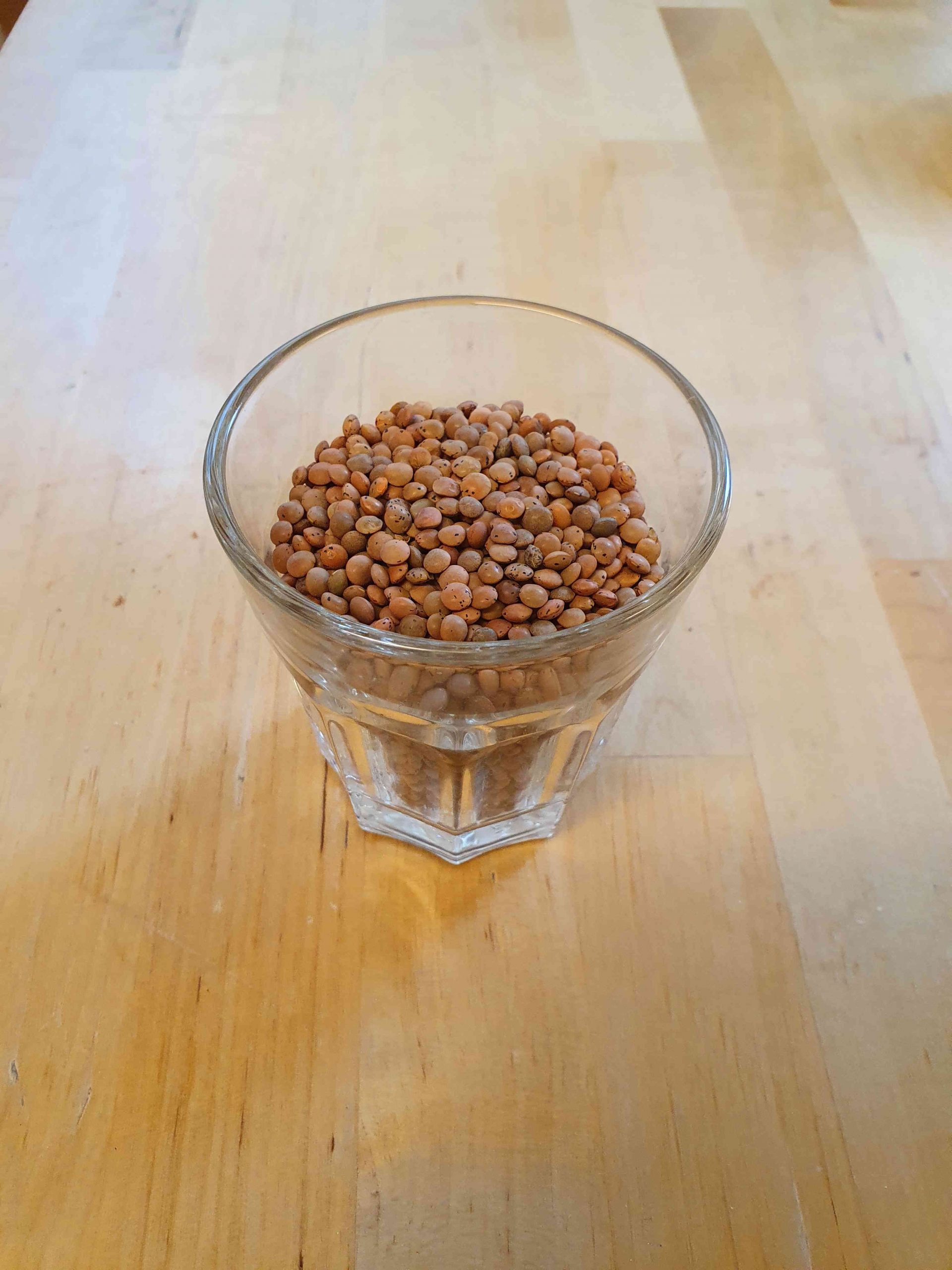 1 Cup of Mountain Lentils