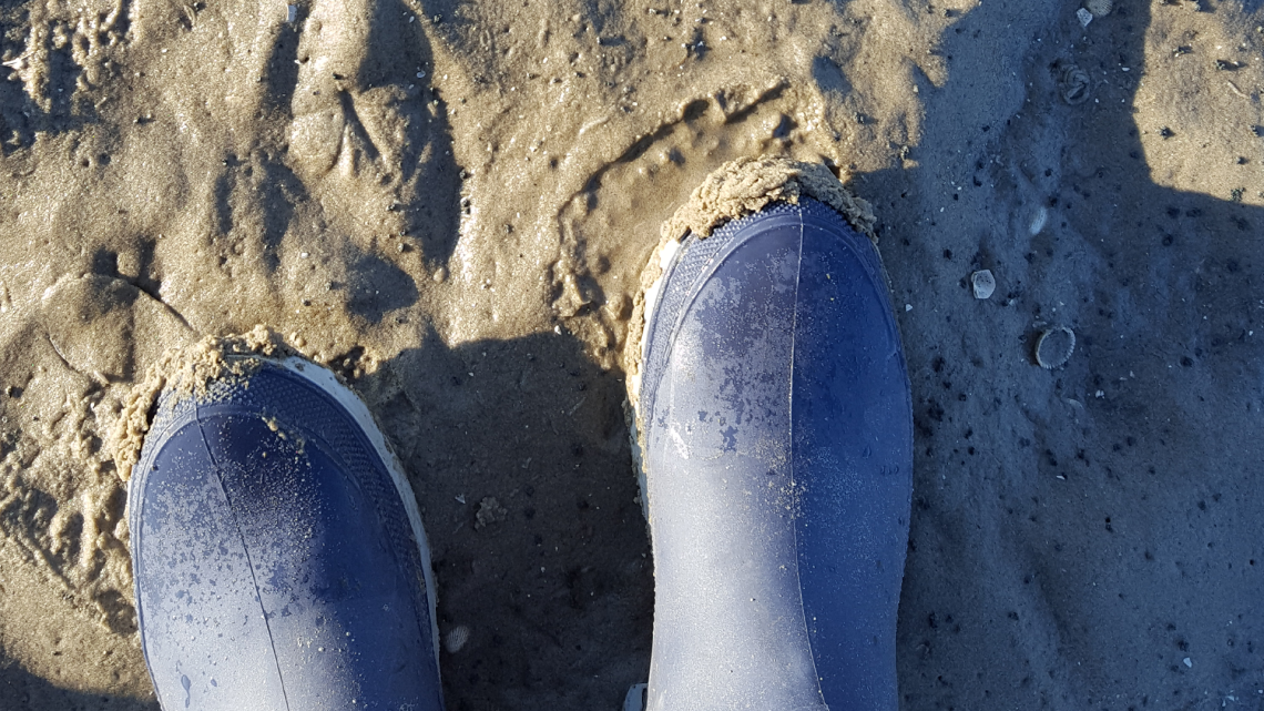 Blaue Gummistiefel im Wattenmeer bei Sonnenschein