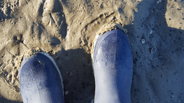 Blaue Gummistiefel im Wattenmeer bei Sonnenschein