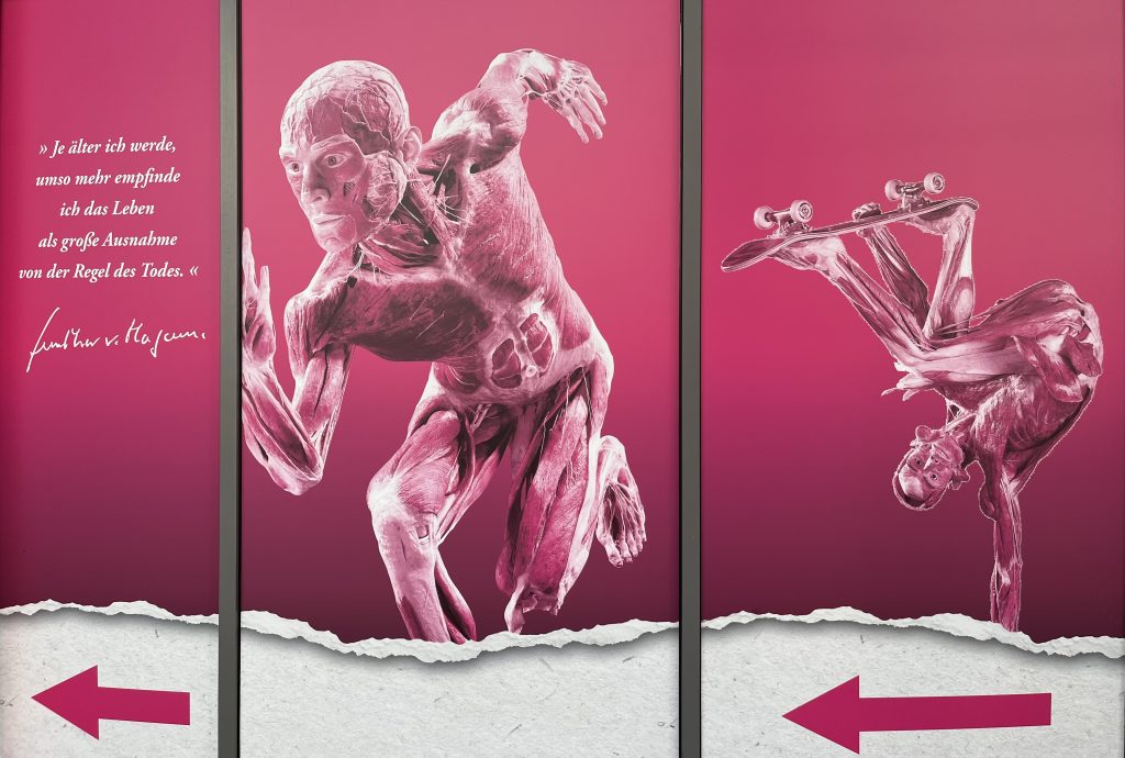The advertisement for the “Body Worlds“ exhibition at Nordlicht