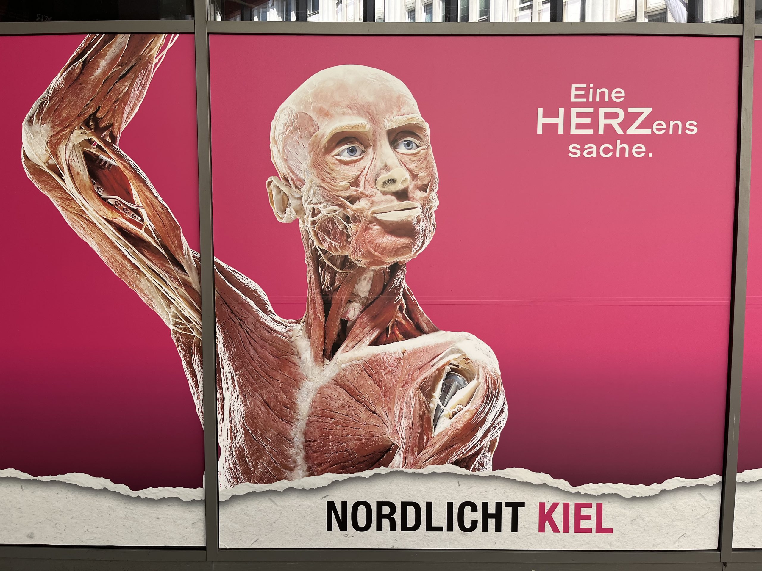 The “Body Worlds“ exhibition
