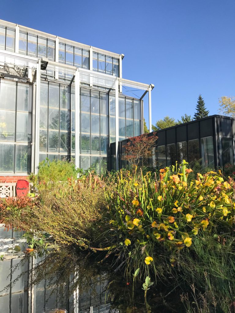 Botanical Garden Building at CAU University, Kiel